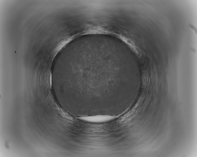 X0000096981221200802221426