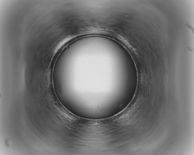 X0000096981222200802221426