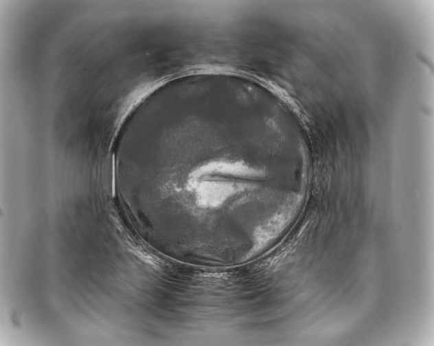 X0000096981223200802221426