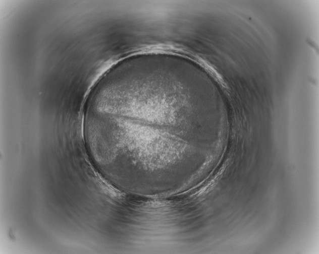 X0000096981224200802221426