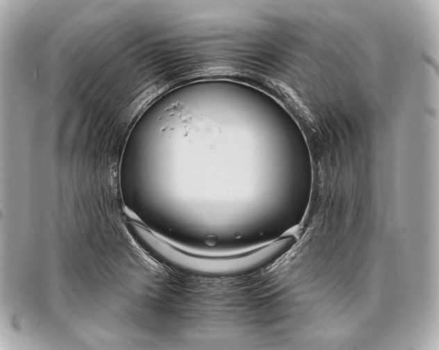 X0000096981225200802221426