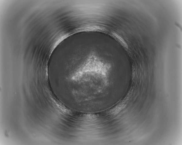 X0000096981226200802221426