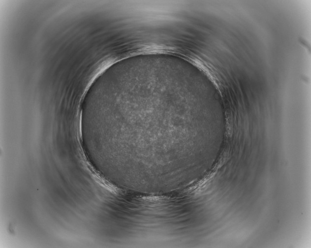 X0000096981227200802221426