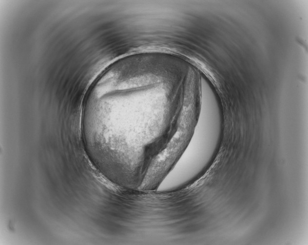 X0000096981228200802221426