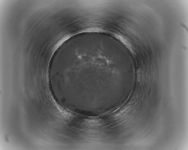 X0000096981229200802221426