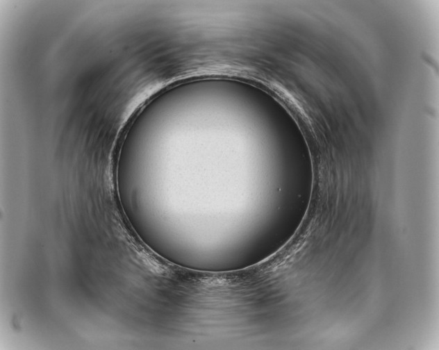 X0000096981230200802221426