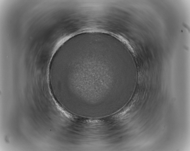 X0000096981231200802221426