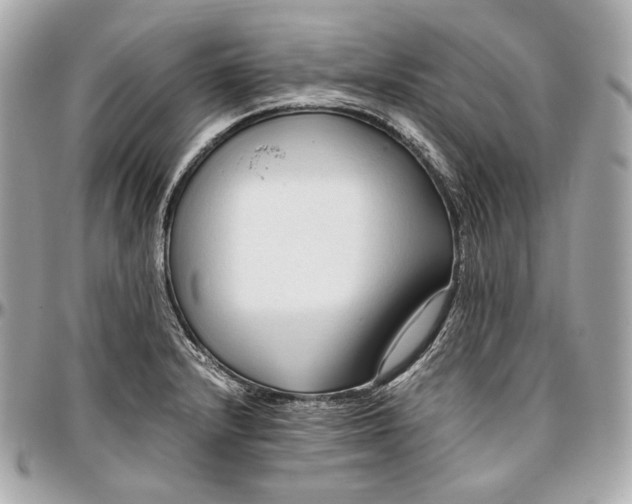 X0000096981232200802221426