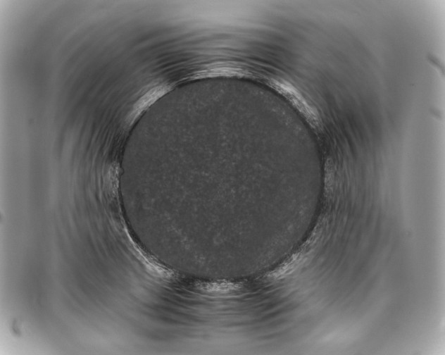 X0000096981233200802221426