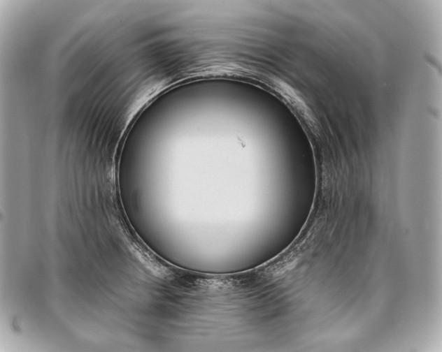 X0000096981234200802221426