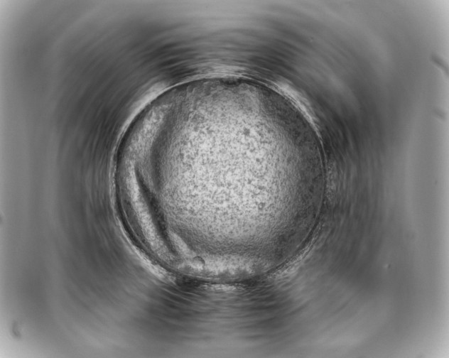 X0000096981235200802221426