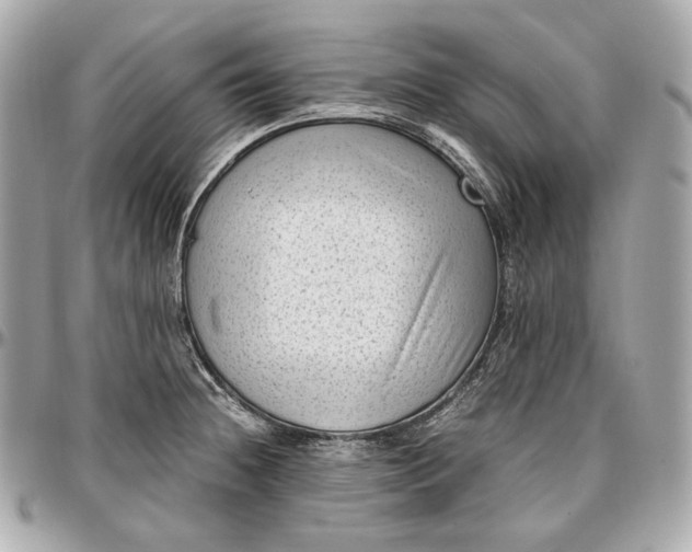 X0000096981236200802221426