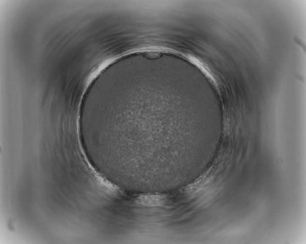 X0000096981237200802221426