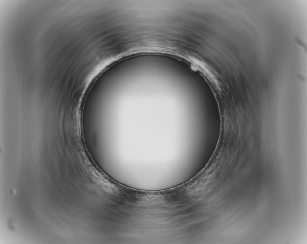 X0000096981238200802221426