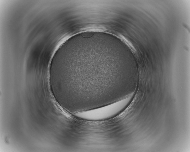 X0000096981240200802221426