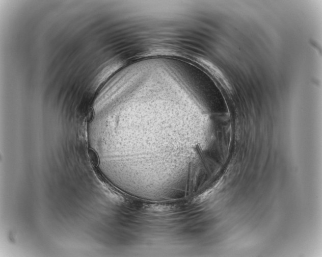 X0000096981241200802221426