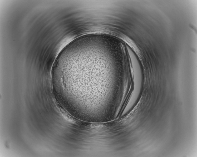 X0000096981242200802221426