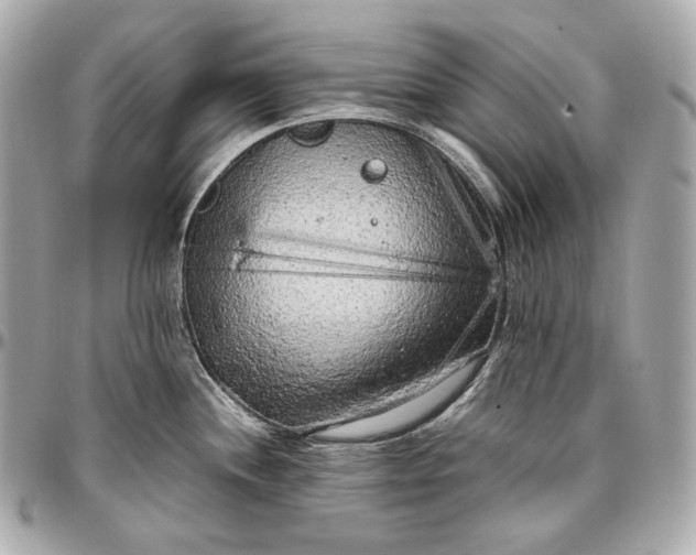 X0000096981244200802221427