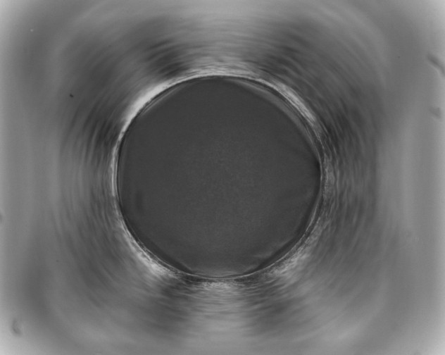 X0000096981246200802221427