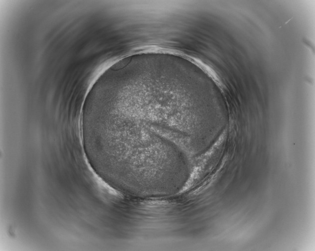 X0000096981247200802221427