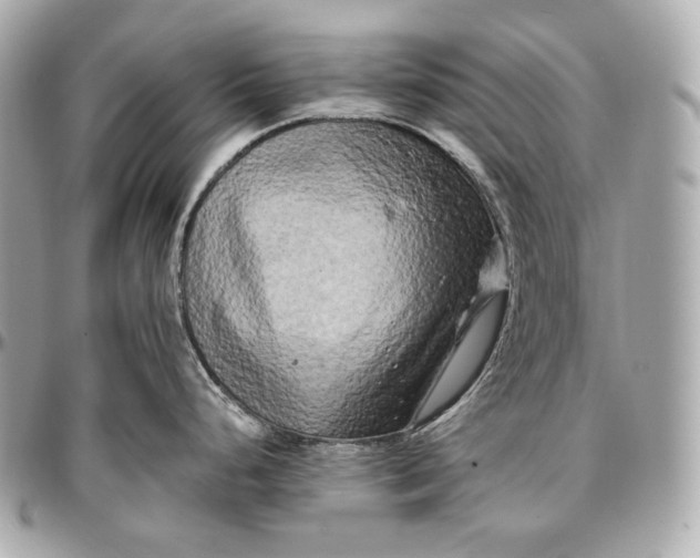 X0000096981248200802221427