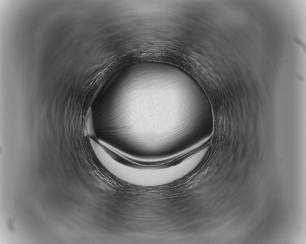 X0000096981250200802221426