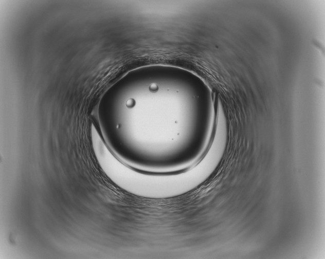 X0000096981251200802221426