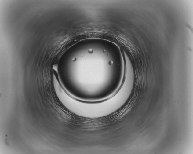 X0000096981252200802221426