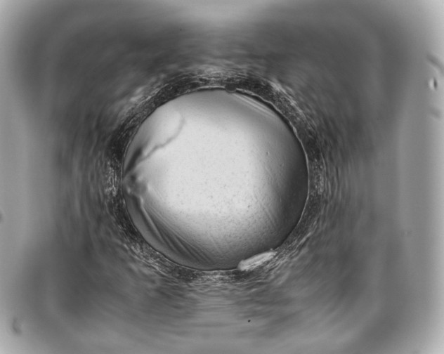 X0000096981253200802221426