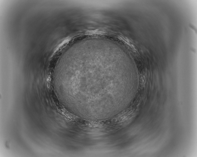 X0000096981254200802221426