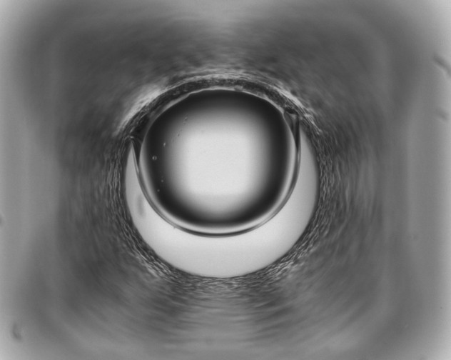 X0000096981255200802221426