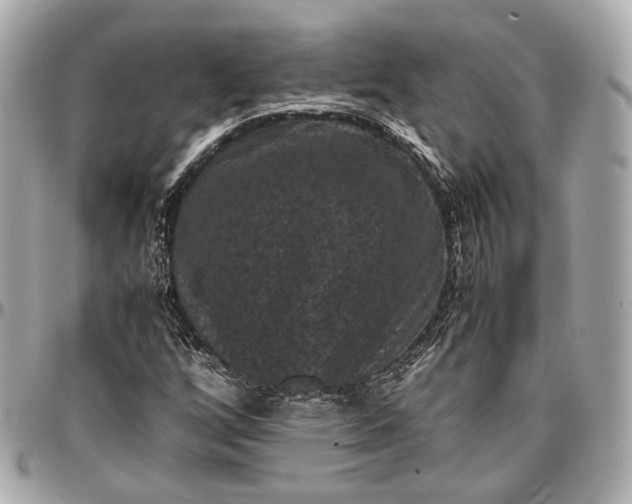 X0000096981256200802221426