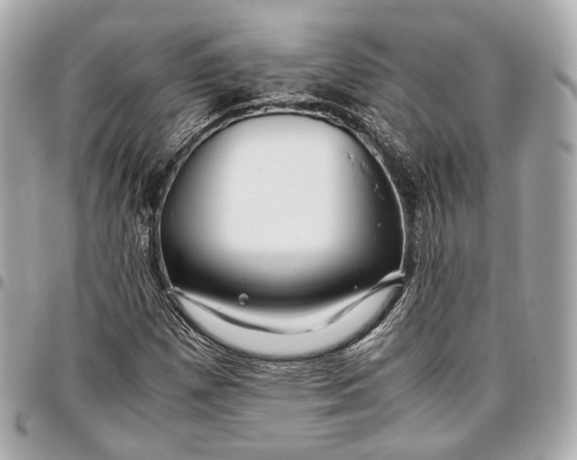 X0000096981257200802221426