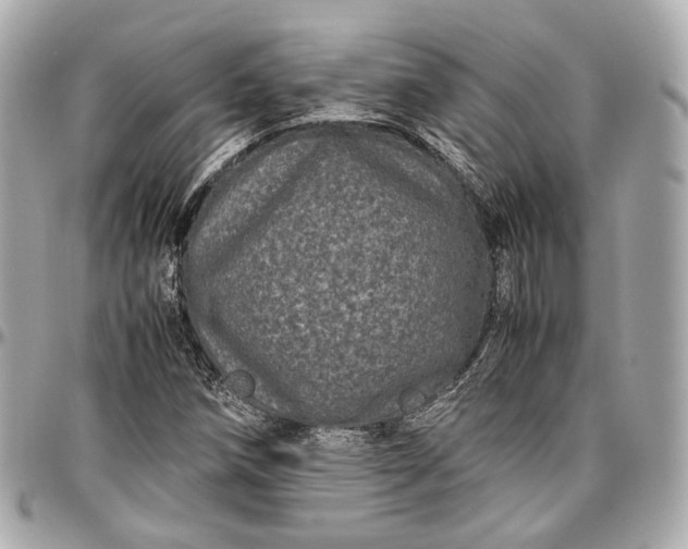 X0000096981258200802221426