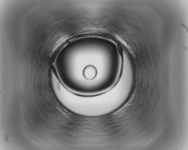 X0000096981259200802221426