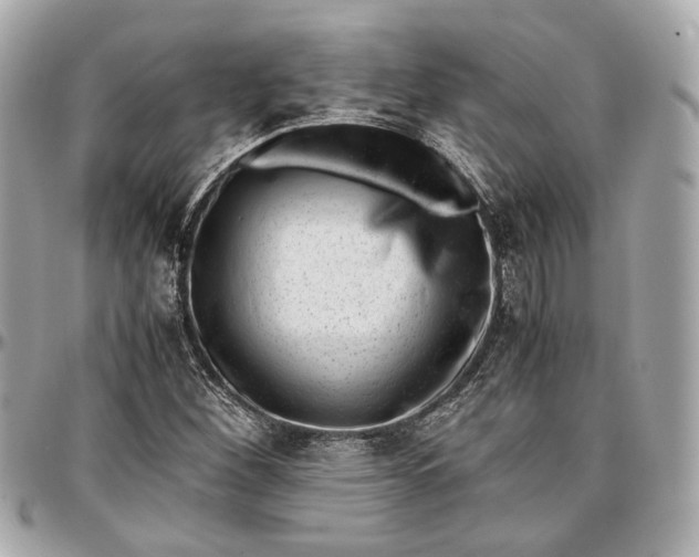 X0000096981260200802221426