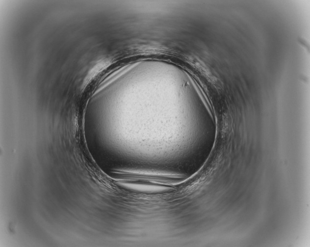 X0000096981261200802221426