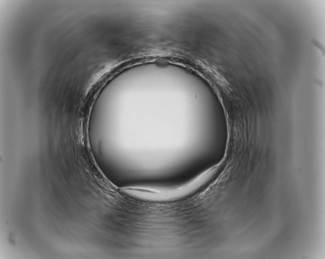 X0000096981262200802221426