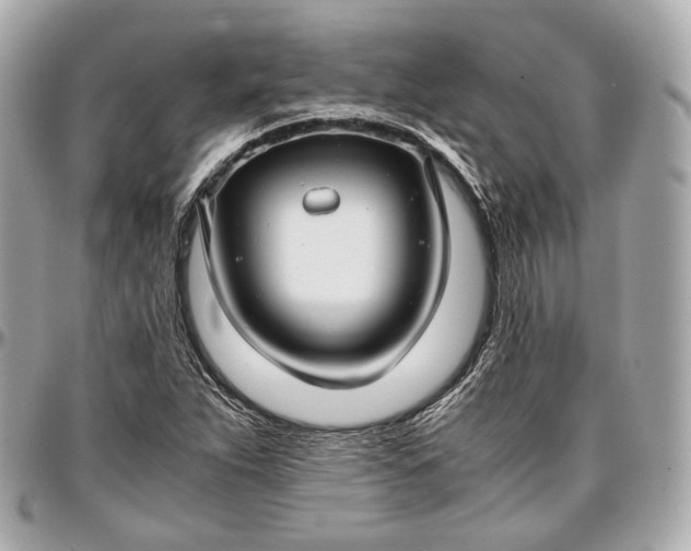 X0000096981263200802221426