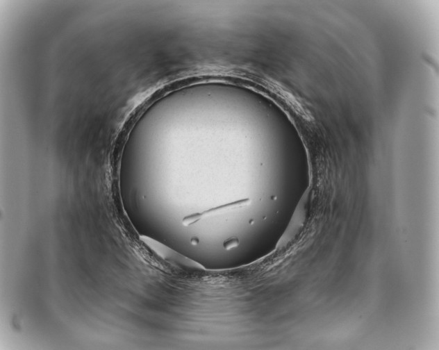 X0000096981264200802221426