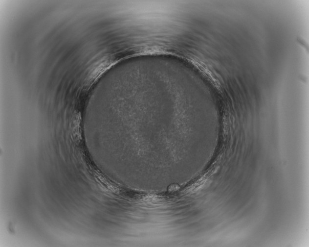 X0000096981265200802221426