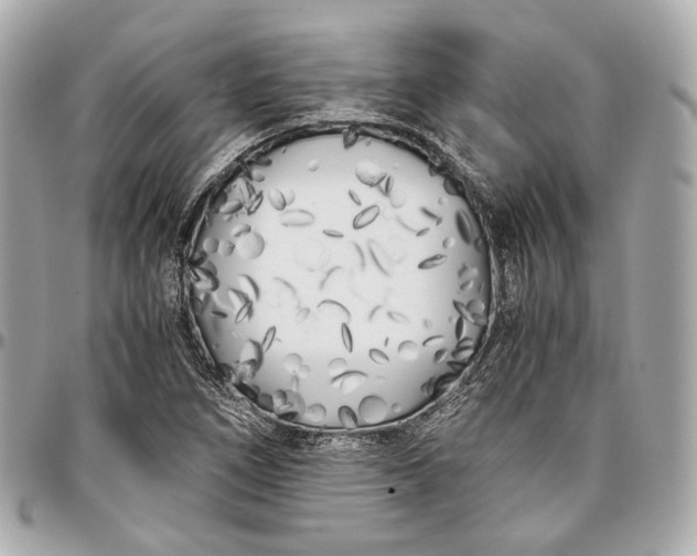 X0000096981266200802221426