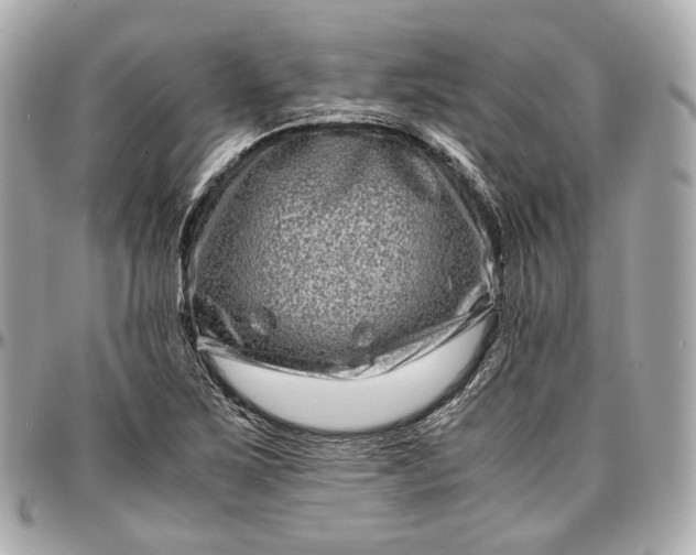 X0000096981267200802221426