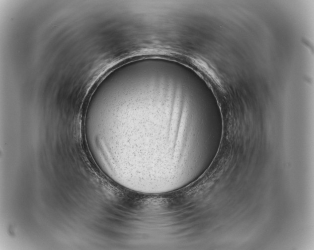 X0000096981268200802221426