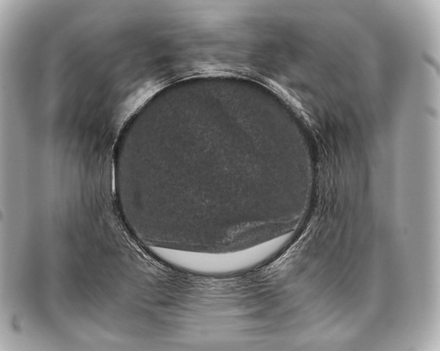 X0000096981269200802221426