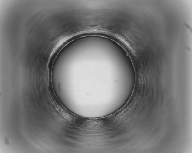 X0000096981270200802221426