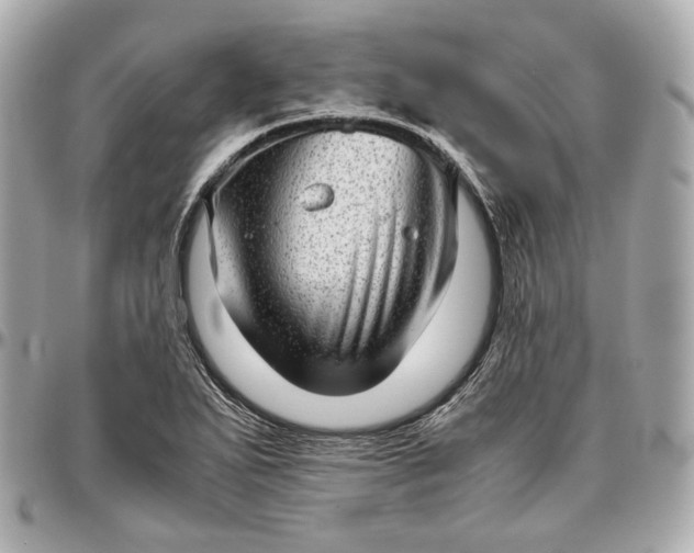 X0000096981271200802221426