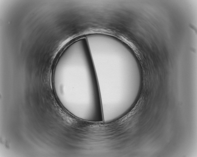 X0000096981272200802221426