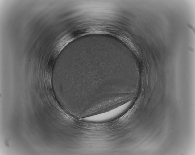 X0000096981273200802221426