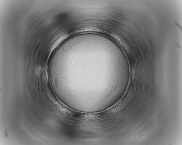 X0000096981274200802221426